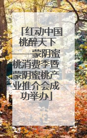 红动中国 桃醉天下——蒙阴蜜桃消费季暨蒙阴蜜桃产业推介会成功举办