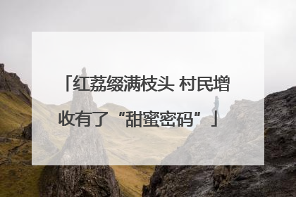 红荔缀满枝头 村民增收有了“甜蜜密码”