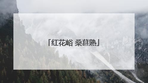 红花峪 桑葚熟