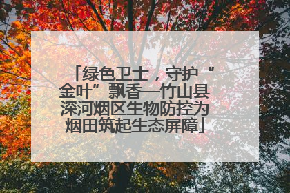 绿色卫士，守护“金叶”飘香—竹山县深河烟区生物防控为烟田筑起生态屏障