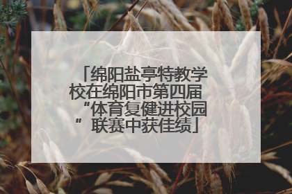 绵阳盐亭特教学校在绵阳市第四届“体育复健进校园”联赛中获佳绩