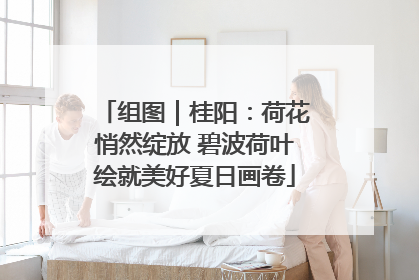 组图｜桂阳：荷花悄然绽放 碧波荷叶绘就美好夏日画卷