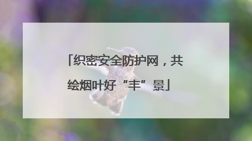 织密安全防护网，共绘烟叶好“丰”景