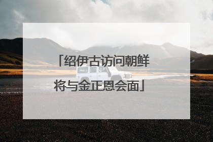绍伊古访问朝鲜 将与金正恩会面