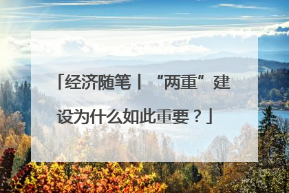 经济随笔丨“两重”建设为什么如此重要？