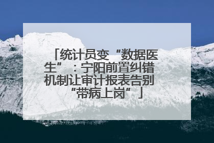 统计员变“数据医生”：宁阳前置纠错机制让审计报表告别“带病上岗”