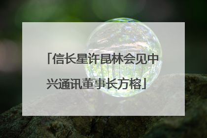 信长星许昆林会见中兴通讯董事长方榕
