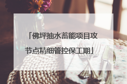 佛坪抽水蓄能项目攻节点精细管控保工期