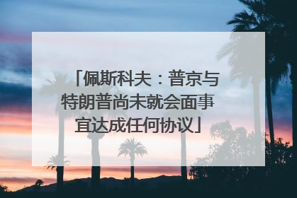 佩斯科夫：普京与特朗普尚未就会面事宜达成任何协议