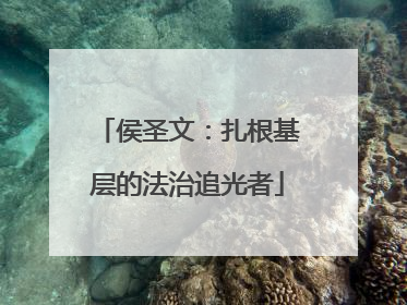 侯圣文：扎根基层的法治追光者