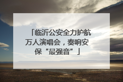 临沂公安全力护航万人演唱会，奏响安保“最强音”