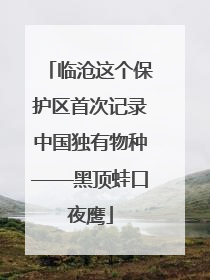 临沧这个保护区首次记录中国独有物种——黑顶蛙口夜鹰