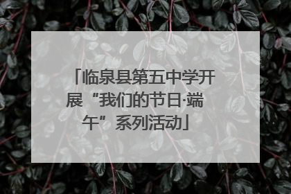 临泉县第五中学开展“我们的节日·端午”系列活动