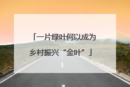 一片绿叶何以成为乡村振兴“金叶”