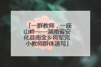 一群教师，一座山峰——湖南省安化县南金乡将军完小教师群体速写
