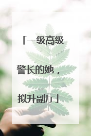 一级高级警长的她，拟升副厅