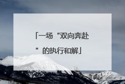 一场“双向奔赴”的执行和解