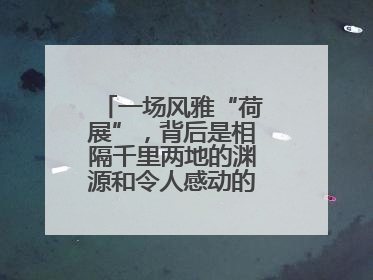 一场风雅“荷展”，背后是相隔千里两地的渊源和令人感动的历史人文情怀