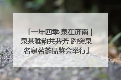 一年四季·泉在济南｜泉茶雅韵共芬芳 趵突泉名泉茗茶品鉴会举行