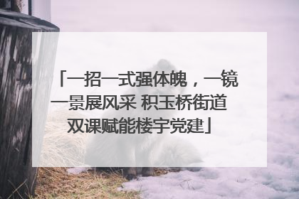 一招一式强体魄，一镜一景展风采 积玉桥街道双课赋能楼宇党建