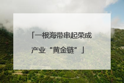 一根海带串起荣成产业“黄金链”