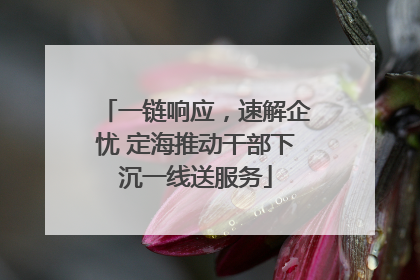 一链响应，速解企忧 定海推动干部下沉一线送服务