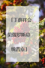 丁薛祥会见俄罗斯总统普京