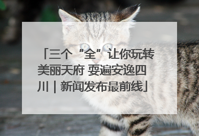 三个“全”让你玩转美丽天府 耍遍安逸四川｜新闻发布最前线
