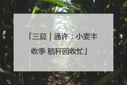 三夏｜通许：小麦丰收季 秸秆回收忙