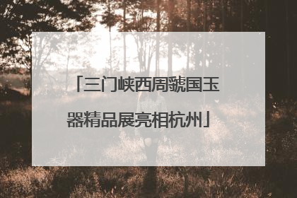 三门峡西周虢国玉器精品展亮相杭州