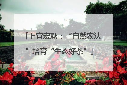 上官宏耿：“自然农法”培育“生态好茶”