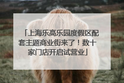 上海乐高乐园度假区配套主题商业街来了！数十家门店开启试营业