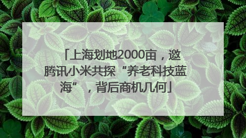 上海划地2000亩，邀腾讯小米共探“养老科技蓝海”，背后商机几何
