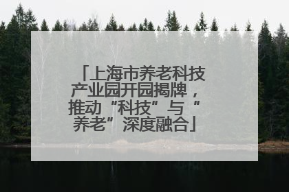 上海市养老科技产业园开园揭牌，推动“科技”与“养老”深度融合