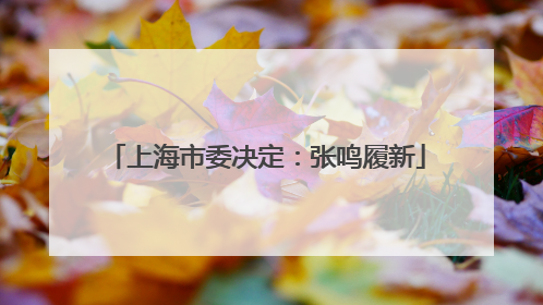 上海市委决定：张鸣履新