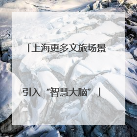 上海更多文旅场景引入“智慧大脑”