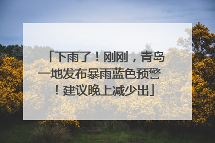 下雨了！刚刚，青岛一地发布暴雨蓝色预警！建议晚上减少出