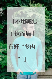 不用减肥！这面墙上有好“多肉”