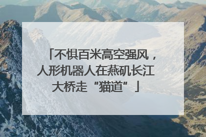 不惧百米高空强风，人形机器人在燕矶长江大桥走“猫道”