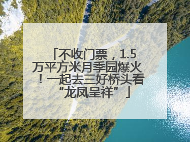 不收门票，1.5万平方米月季园爆火！一起去三好桥头看“龙凤呈祥”