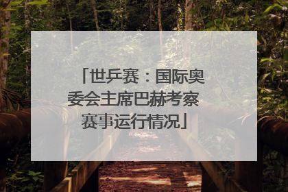 世乒赛：国际奥委会主席巴赫考察赛事运行情况