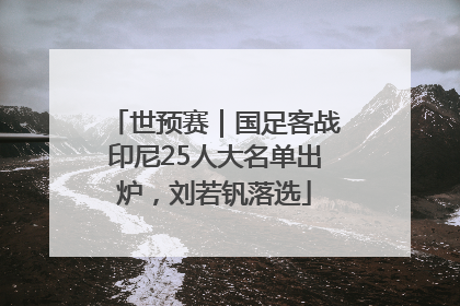 世预赛｜国足客战印尼25人大名单出炉，刘若钒落选