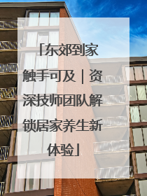 东郊到家 触手可及｜资深技师团队解锁居家养生新体验