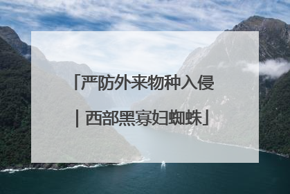 严防外来物种入侵｜西部黑寡妇蜘蛛