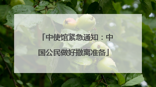 中使馆紧急通知：中国公民做好撤离准备
