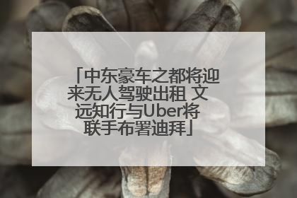 中东豪车之都将迎来无人驾驶出租 文远知行与Uber将联手布署迪拜