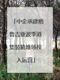 中企承建格鲁吉亚波季港集装箱堆场投入运营