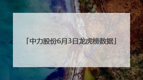 中力股份6月3日龙虎榜数据