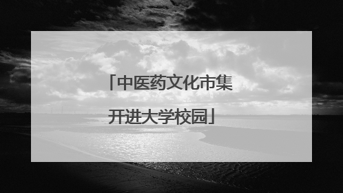 中医药文化市集开进大学校园