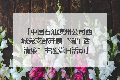中国石油滨州公司西城党支部开展“端午话清廉”主题党日活动